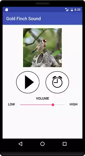 Play Gold Finch Sound as an online game Gold Finch Sound with UptoPlay