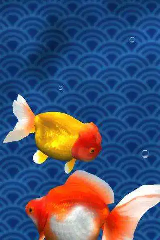 Play Gold Fish 3D free LWP