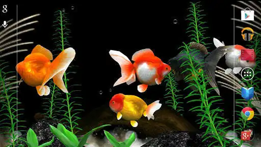 Play Gold Fish 3D free LWP