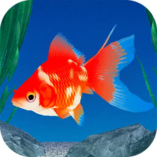 Play Goldfish 3D Relaxing Aquarium APK Play Goldfish 3D Relaxing Aquarium APK