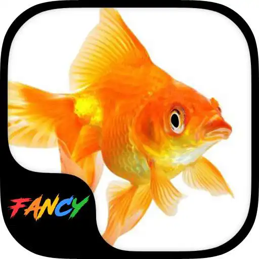 Run free android online Gold Fish Fancy Keyboard Theme APK Run free android online Gold Fish Fancy Keyboard Theme APK