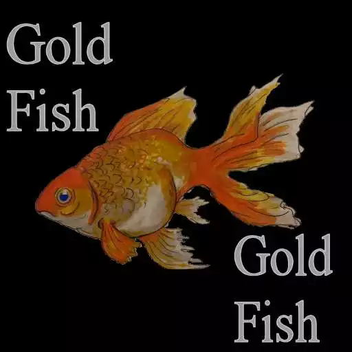 Free play online Goldfish APK Free play online Goldfish APK