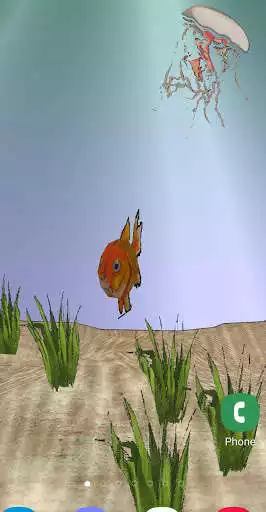 Play Goldfish