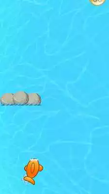 Play Goldfish