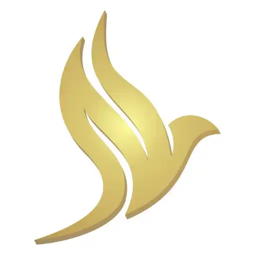 Play Goldwings Aviation APK