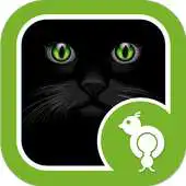 Free play online Go Locker Black Kitty APK Free play online Go Locker Black Kitty APK