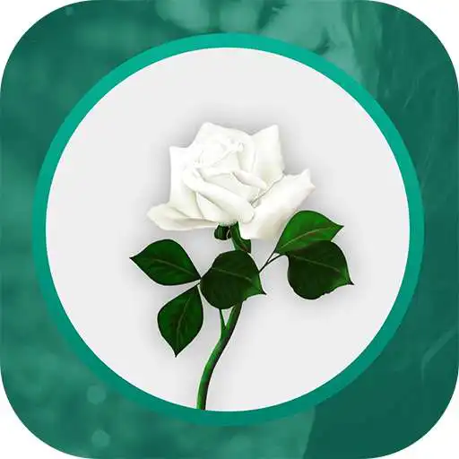 Play GoneButLoved - Memorial APK Play GoneButLoved - Memorial APK