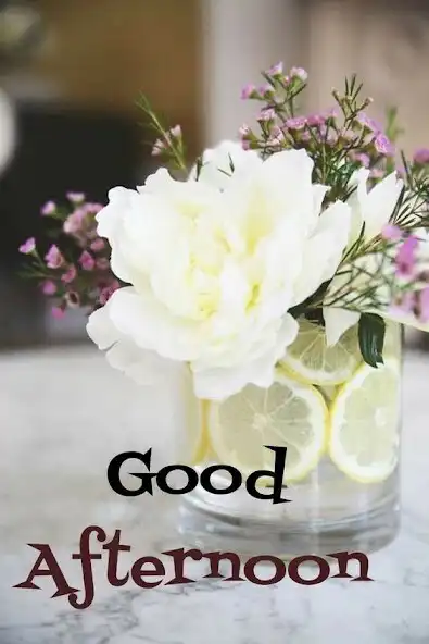 Play Good afternoon. Good evening  and enjoy Good afternoon. Good evening with UptoPlay