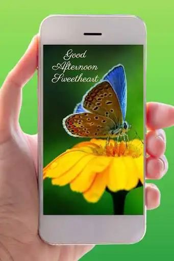 Play Good Afternoon Images 2022  and enjoy Good Afternoon Images 2022 with UptoPlay