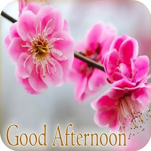 Play Good Afternoon Images 2023 APK