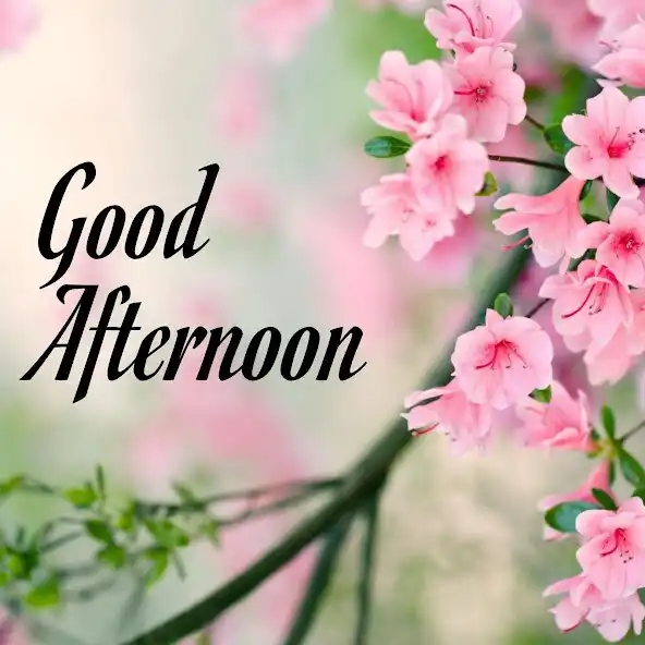 Play Good Afternoon Images 2023  and enjoy Good Afternoon Images 2023 with UptoPlay