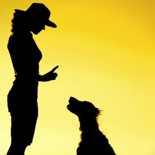 Play Good Dog Test APK Play Good Dog Test APK