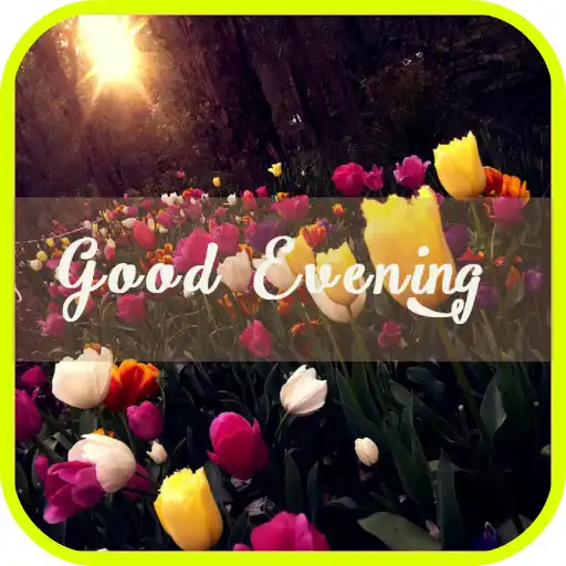 Free play online Good Evening Cards APK Free play online Good Evening Cards APK