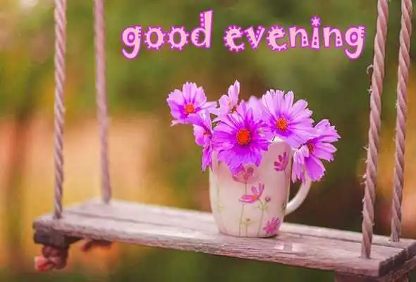 Play Good Evening Image