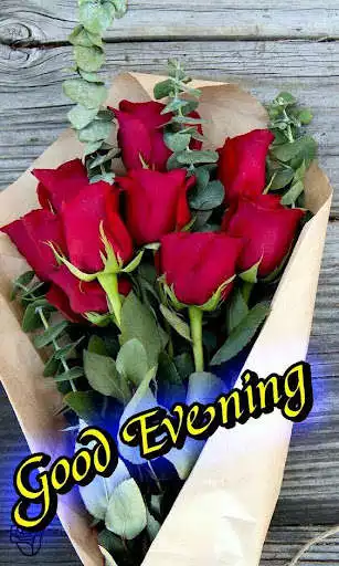 Play good evening as an online game good evening with UptoPlay