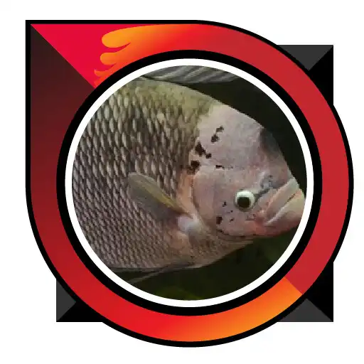 Play Good Fish Cultivation APK Play Good Fish Cultivation APK