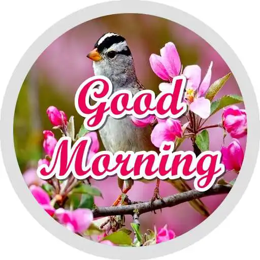 Play Good Morning 2020 Stickers - WAStickerApps APK Play Good Morning 2020 Stickers - WAStickerApps APK