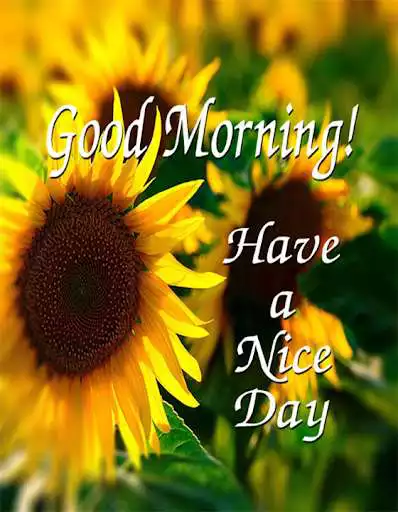 Play APK Good Morning 7 Day Image  and enjoy Good Morning 7 Day Image with UptoPlay com.tomunited.goodmorning7day