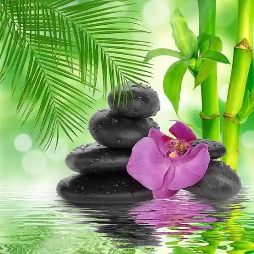 Play Good morning afternoon evening APK