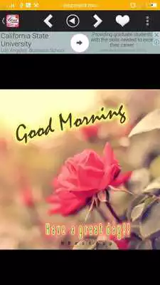 Play Good Morning all day til Night