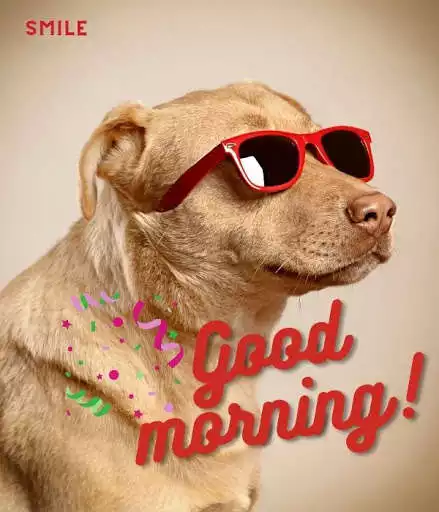 Play APK Good Morning Cute  and enjoy Good Morning Cute with UptoPlay com.smileappsmobile.goodmorninganimals
