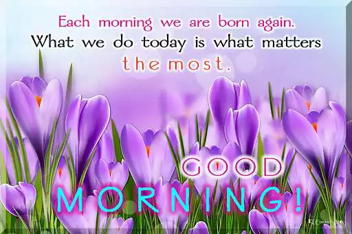 Play Good morning every day  and enjoy Good morning every day with UptoPlay