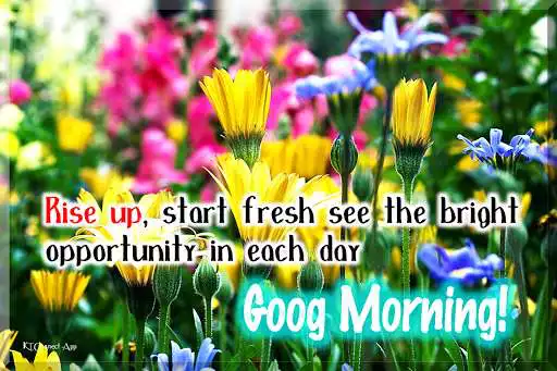 Play Good morning every day as an online game Good morning every day with UptoPlay