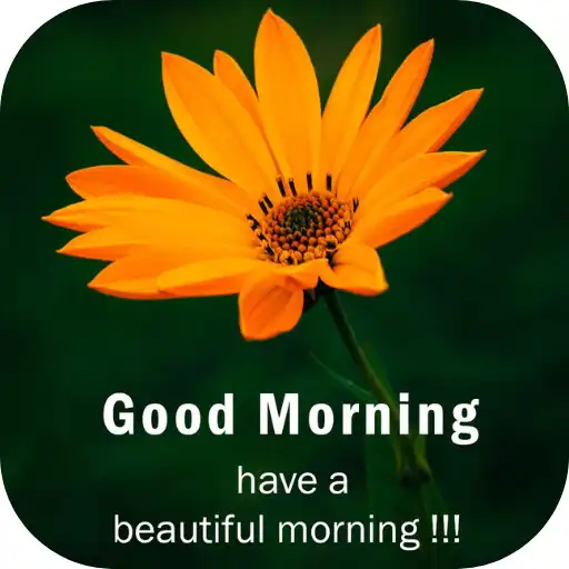 Play good morning flower images APK Play good morning flower images APK