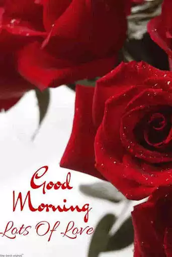 Play Good Morning flowers GIFS  and enjoy Good Morning flowers GIFS with UptoPlay
