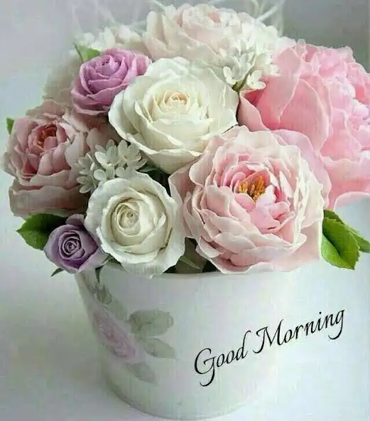 Play APK Good Morning Flowers  and enjoy Good Morning Flowers with UptoPlay com.smileappsmobile.goodmorningflowers
