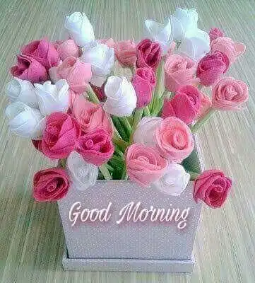 Play APK Good Morning Flowers  and enjoy Good Morning Flowers with UptoPlay com.smileappsmobile.goodmorningflowers