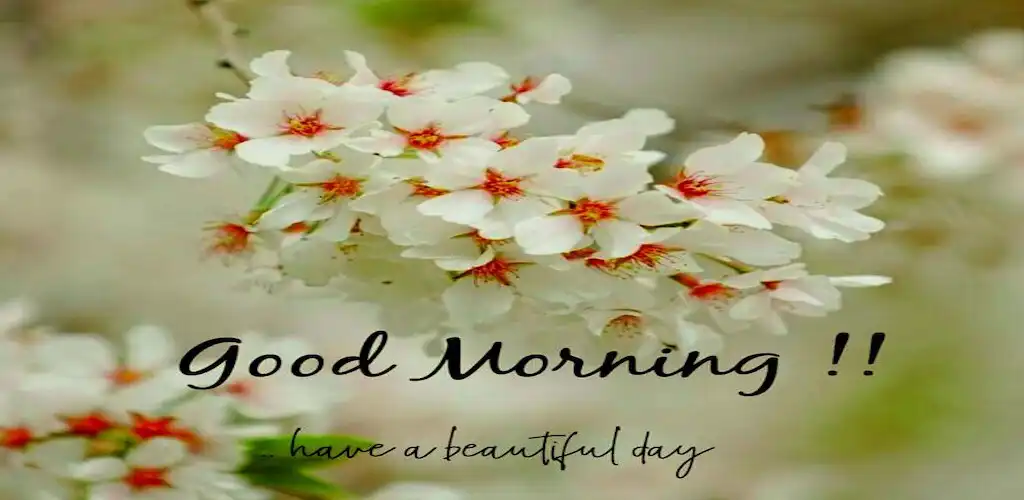 Play Good Morning GIF Greeting  and enjoy Good Morning GIF Greeting with UptoPlay