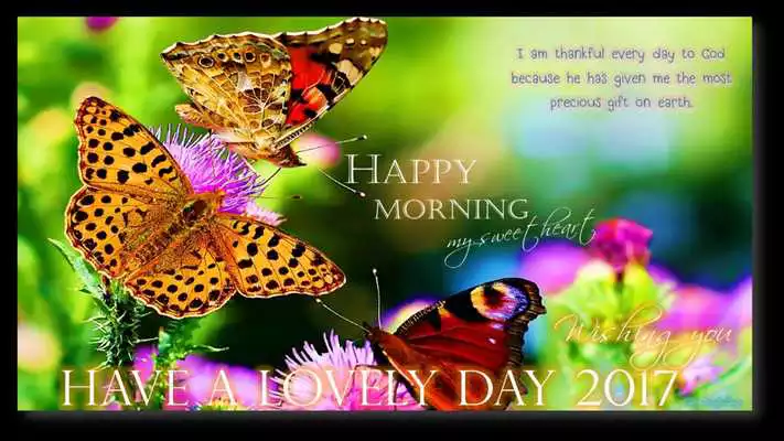 Play Good Morning Good Night Nature