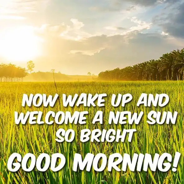 Play Good Morning Greeting  GIF  and enjoy Good Morning Greeting  GIF with UptoPlay