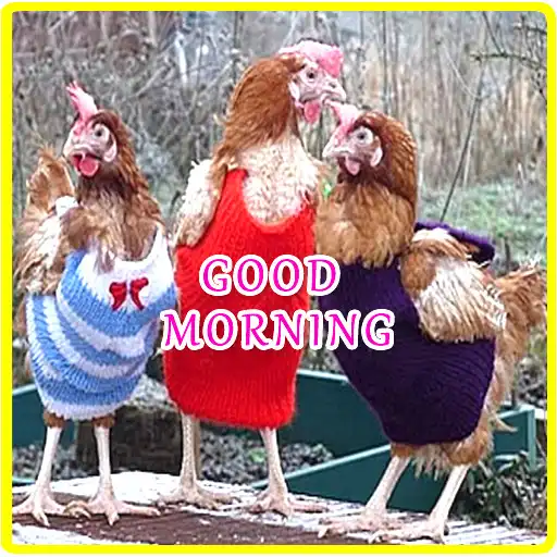 Play Good Morning Greetings (Images) and quotes APK