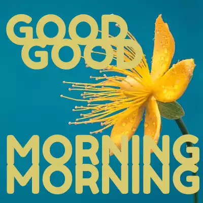 Play Good Morning Greetings