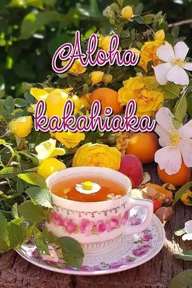 Play Good morning-Hawaiian  and enjoy Good morning-Hawaiian with UptoPlay