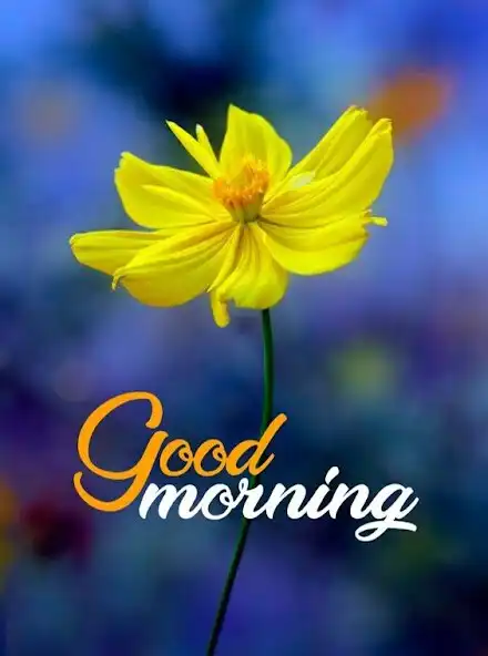 Play GoodMorning Images 2023 as an online game GoodMorning Images 2023 with UptoPlay