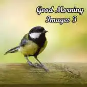 Free play online Good Morning Images 3 APK