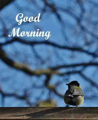Play Good Morning Images 3