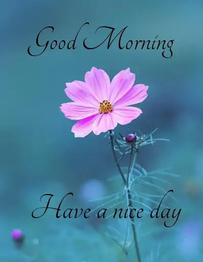 Play Good Morning Images 4K & GIF Good Morning Messages  and enjoy Good Morning Images 4K & GIF Good Morning Messages with UptoPlay