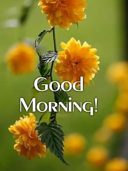 Play GoodMorning Images GIF 2023  and enjoy GoodMorning Images GIF 2023 with UptoPlay