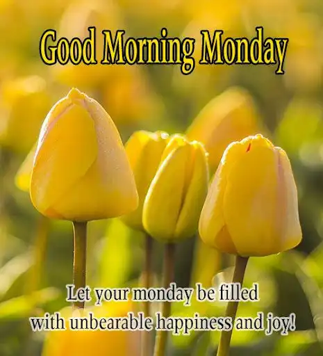 Play Good Morning Images Quotes  and enjoy Good Morning Images Quotes with UptoPlay
