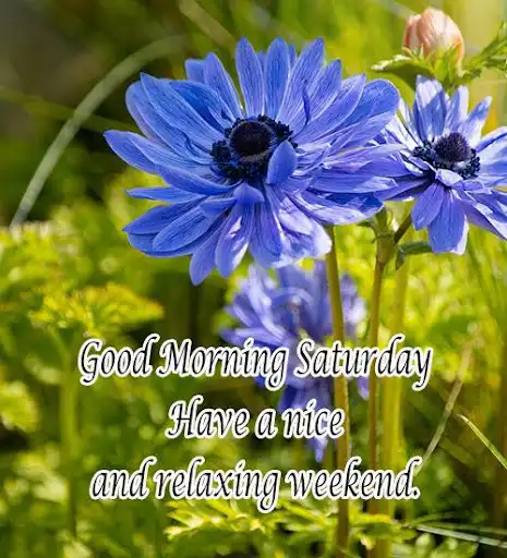 Play Good Morning Images Quotes as an online game Good Morning Images Quotes with UptoPlay
