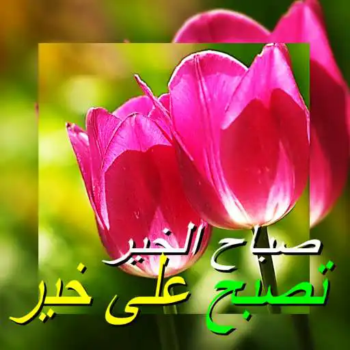 Run free android online Good Morning in Arabic APK Run free android online Good Morning in Arabic APK