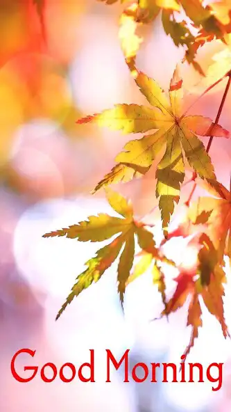 Play Good Morning Love Images App as an online game online Good Morning Love Images App with UptoPlay Play Good Morning Love Images App as an online game Good Morning Love Images App with UptoPlay