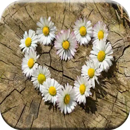 Run free android online Good Morning Love Quotes for Her APK