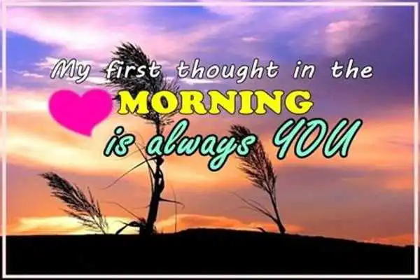 Play Good Morning Love Quotes Play Good Morning Love Quotes
