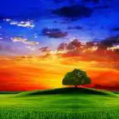 Free play online Good Morning My Friends in Italian APK