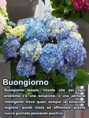 Play Good Morning My Friends in Italian
